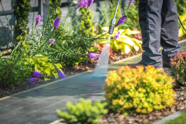 Professional Pressure Washing Services in East Syracuse, NY